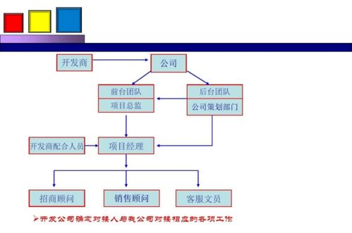 勁花項目營銷策劃方案 項目策劃與公關(guān)服務(wù)的整合策略